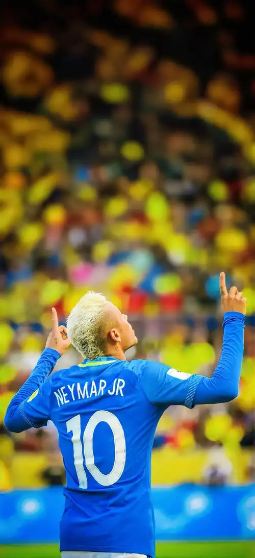 的球场智慧 的球场智慧