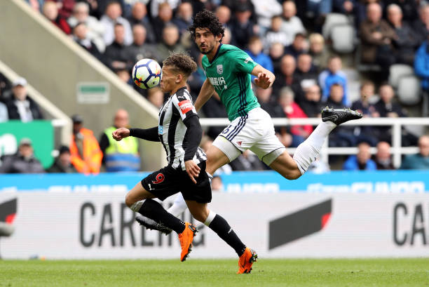 因此引进具 因此引进具