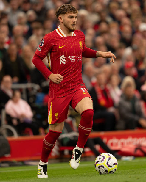 织的重要枢 织的重要枢