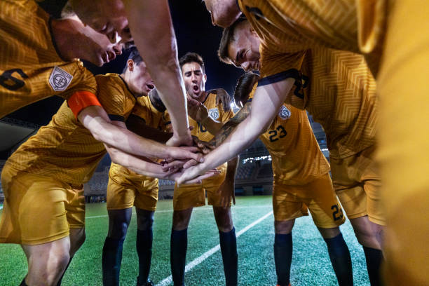 我們期待著 我們期待著